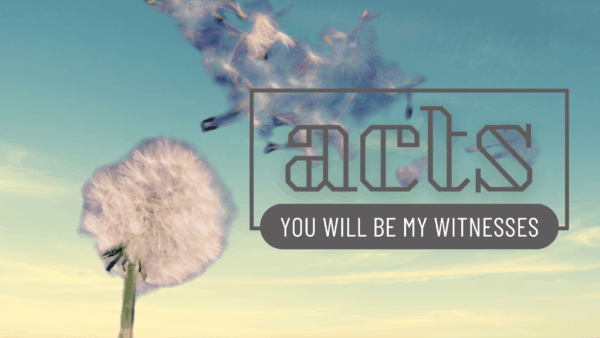 Acts-You will be my witness